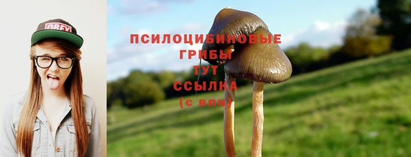 гашишное масло Козельск