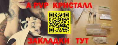 прущие грибы Нальчик