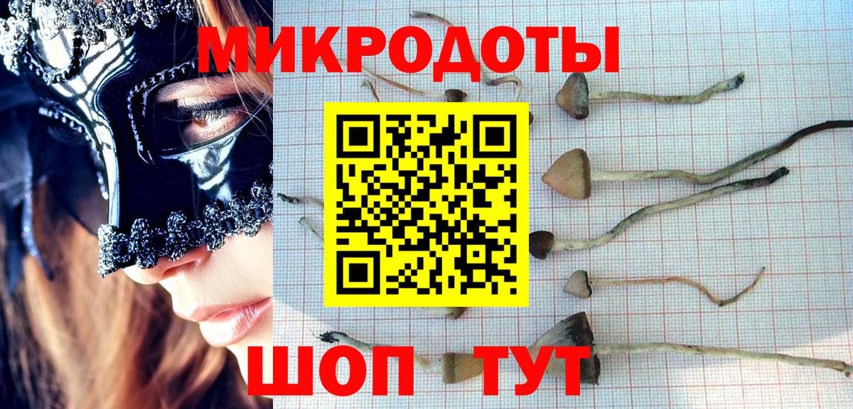 Галлюциногенные грибы мицелий Красноперекопск