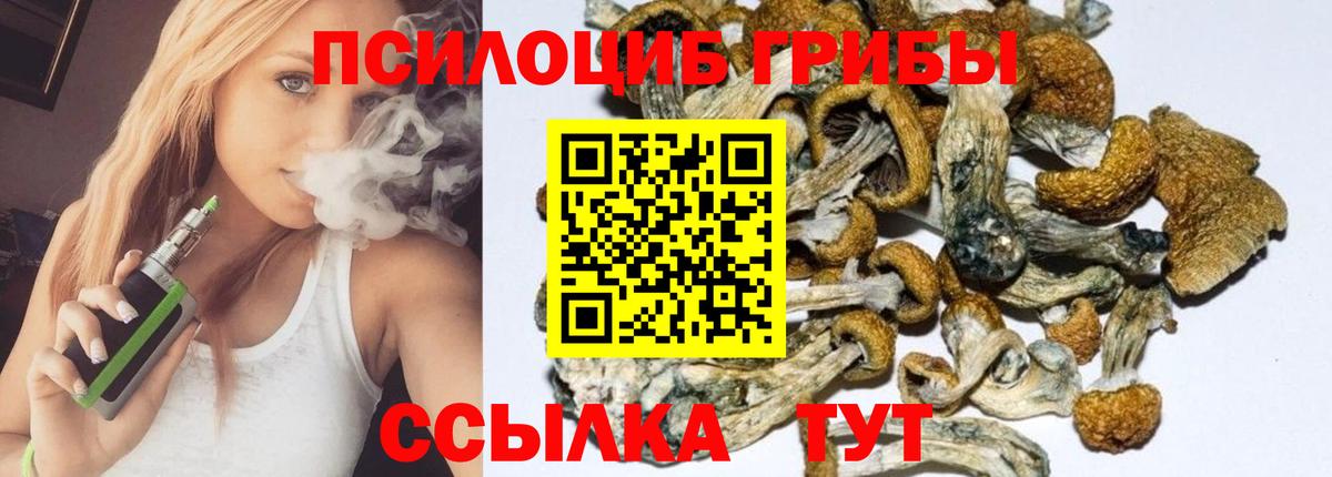 Галлюциногенные грибы Psilocybe  Красноперекопск 